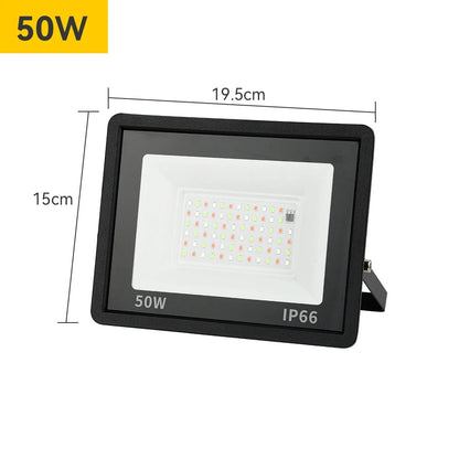 RGB LED Floodlight Outdoor - Waterproof IP66 | 30W/50W/100W Smart RGB Spotlight for Landscape Lighting