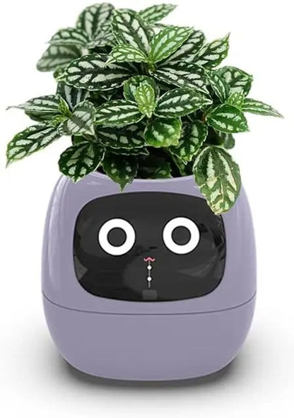 Innovative Smart Planters: Elevate Your Green Space with AI & Intelligence!