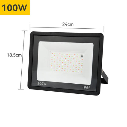 RGB LED Floodlight Outdoor - Waterproof IP66 | 30W/50W/100W Smart RGB Spotlight for Landscape Lighting