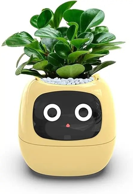 Innovative Smart Planters: Elevate Your Green Space with AI & Intelligence!