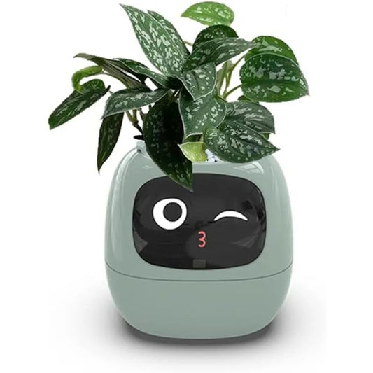 Innovative Smart Planters: Elevate Your Green Space with AI & Intelligence!