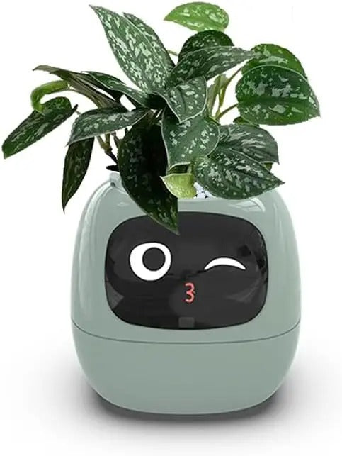 Innovative Smart Planters: Elevate Your Green Space with AI & Intelligence!