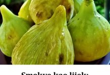 SMOKVE KAO LIJEK: Pogledajte kako vam mogu pomoći i za šta su dobre!