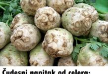 Čudesni napitak od celera: Topi kamenac, uklanja holesterol i olakšava probavu