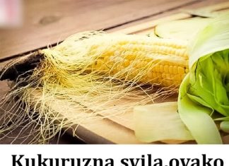 Kukuruzna svila, lijek je za MOKRAĆNE kanale, i NAJBOLJI PRIRODNI DIURETIK