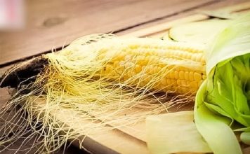 Kukuruzna svila, lijek je za MOKRAĆNE kanale, i NAJBOLJI PRIRODNI DIURETIK