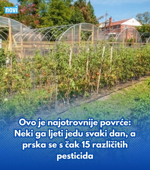 Ovo je najotrovnije povrće: Neki ga ljeti jedu svaki dan, a prska se s čak 15 različitih pesticida - featured image