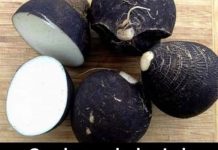 OVO JE NAMIRNICA KOJA OBNAVLJA ŠTITNU ŽLIJEZDU, ŽUČ I JETRU: SIGURNO NISTE ZNALI ZA NJENA LJEKOVITA DEJSTVA