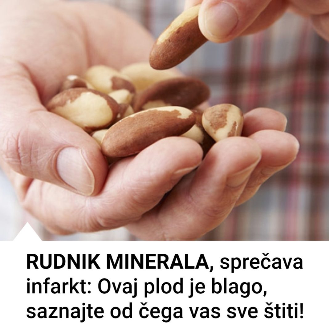 Otkrijte sve zdravstvene prednosti ovog prirodnog rudnika minerala! Brazilski orah kao lek - featured image Otkrijte sve zdravstvene prednosti ovog prirodnog rudnika minerala! Brazilski orah kao lek - featured image