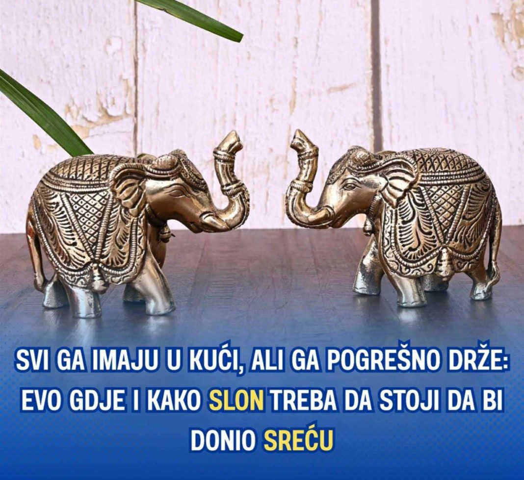 Svi ga imaju u kući, ali ga pogrešno drže: Evo gdje i kako slon treba da stoji da bi donio sreću… - featured image