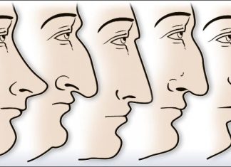 ZVUČI ČUDNO, ALI JE ISTINITO: Evo šta OBLIK NOSA govori O VAMA! Svima je pogodilo ZVUČI ČUDNO, ALI JE ISTINITO: Evo šta OBLIK NOSA govori O VAMA! Svima je pogodilo - featured image