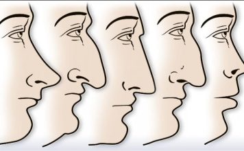 ZVUČI ČUDNO, ALI JE ISTINITO: Evo šta OBLIK NOSA govori O VAMA! Svima je pogodilo ZVUČI ČUDNO, ALI JE ISTINITO: Evo šta OBLIK NOSA govori O VAMA! Svima je pogodilo - featured image