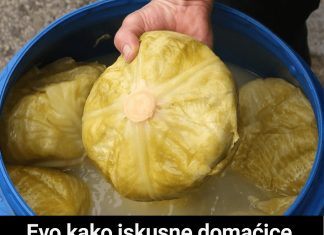 Evo kako iskusne domaćice iz Bugarske kisele kupus: Zbog ovogo trika bude najukusniji i nikad im se ne kvari. Evo kako iskusne domaćice iz Bugarske kisele kupus: Zbog ovogo trika bude najukusniji i nikad im se ne kvari. - featured image