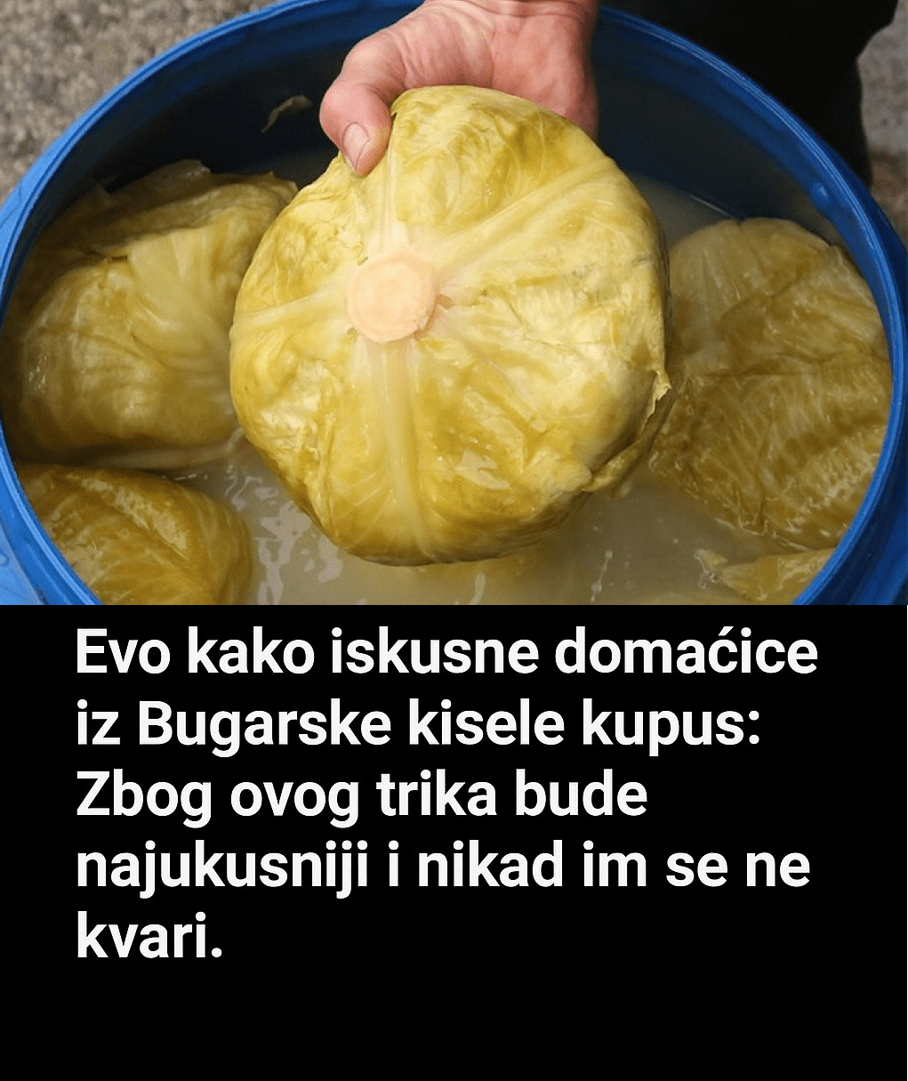Evo kako iskusne domaćice iz Bugarske kisele kupus: Zbog ovogo trika bude najukusniji i nikad im se ne kvari. - featured image