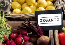 AKO IMATE PROBLEM SA ŠTITNOM ŽLIJEZDOM, OVE 2 NAMIRNICE IZBACITE: Štitna žlijezda ih nikako ne voli AKO IMATE PROBLEM SA ŠTITNOM ŽLIJEZDOM, OVE 2 NAMIRNICE IZBACITE: Štitna žlijezda ih nikako ne voli - featured image