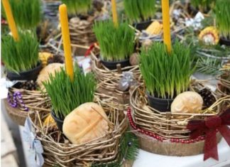 Ako se BOŽIĆNA PŠENICA POSADI NA OVAJ DAN kuća će biti blagoslovena cele godine Ako se BOŽIĆNA PŠENICA POSADI NA OVAJ DAN kuća će biti blagoslovena cele godine - featured image