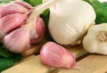 KORISTI SE SAMO JEDNOM U PET GODINA: Pomaže kod ateroskleroze, bolesti pluća, atritisa, reume, hemoroida… KORISTI SE SAMO JEDNOM U PET GODINA: Pomaže kod ateroskleroze, bolesti pluća, atritisa, reume, hemoroida… - featured image