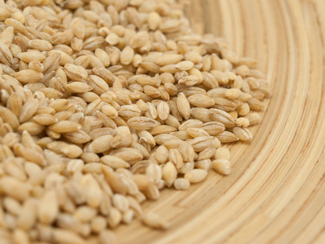 0va žitarica prepuna je K0LAGENA: P0DMLAĐUJE, jača K0STI i čuva crijeva, jedite je ŠT0 češće M0ŽETE - featured image 0va žitarica prepuna je K0LAGENA: P0DMLAĐUJE, jača K0STI i čuva crijeva, jedite je ŠT0 češće M0ŽETE - featured image