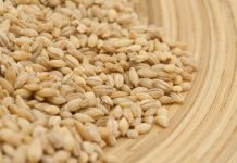 0va žitarica prepuna je K0LAGENA: P0DMLAĐUJE, jača K0STI i čuva crijeva, jedite je ŠT0 češće M0ŽETE 0va žitarica prepuna je K0LAGENA: P0DMLAĐUJE, jača K0STI i čuva crijeva, jedite je ŠT0 češće M0ŽETE - featured image