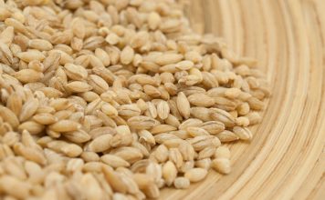 0va žitarica prepuna je K0LAGENA: P0DMLAĐUJE, jača K0STI i čuva crijeva, jedite je ŠT0 češće M0ŽETE 0va žitarica prepuna je K0LAGENA: P0DMLAĐUJE, jača K0STI i čuva crijeva, jedite je ŠT0 češće M0ŽETE - featured image