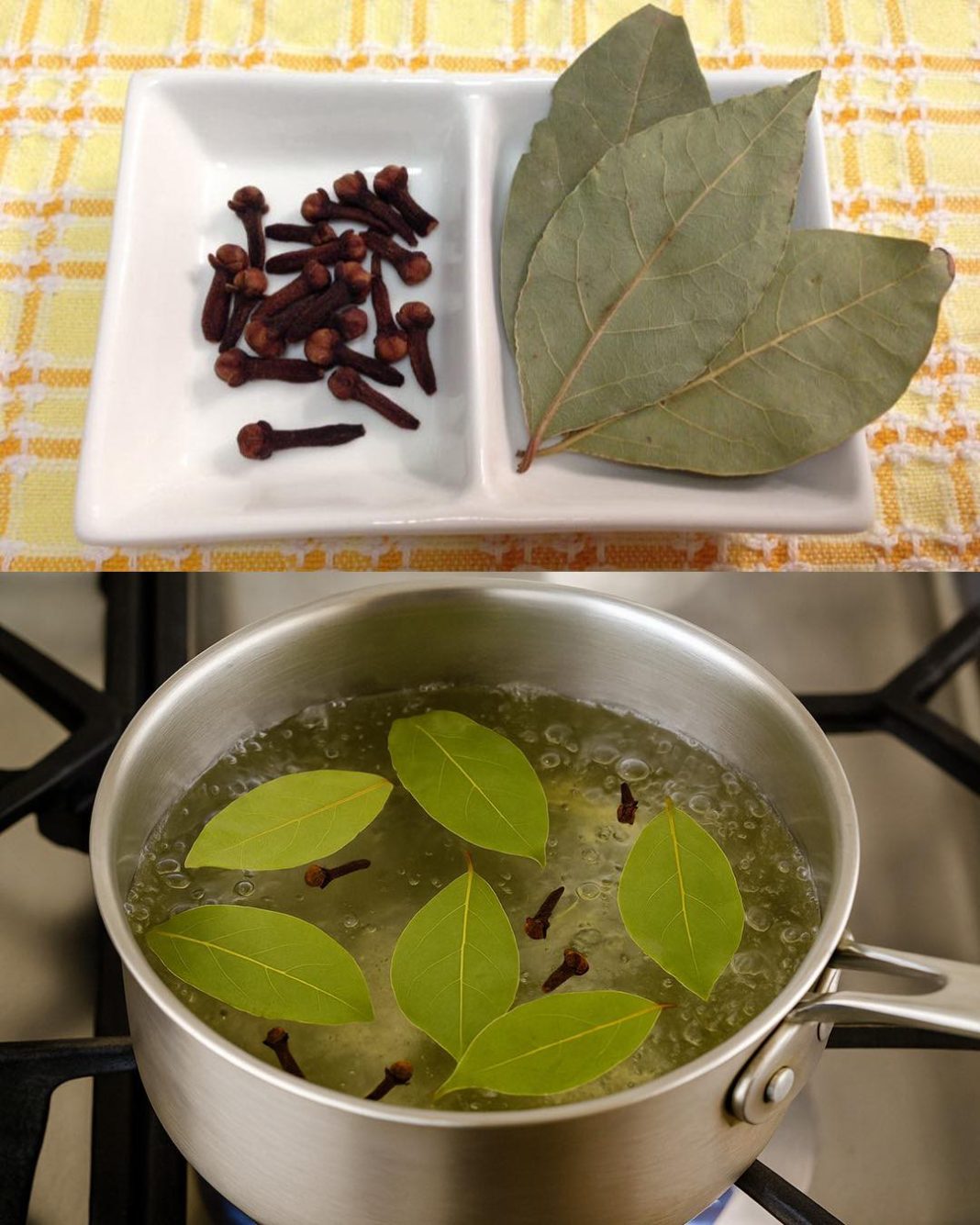 POGLEDAJTE zašto su naši preci koristili PROKUHANI LOVOROV LIST I KLINČIĆ kao prirodni lijek ZA BROJNE TEGOBE! - featured image