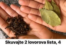 Skuvajte 2 LOVOROVA lista, 4 karanfilića i nikad ne zaboravite OVAJ recept: SPAS ZA OTOK, BOL I SLAB IMUNITET! Skuvajte 2 LOVOROVA lista, 4 karanfilića i nikad ne zaboravite OVAJ recept: SPAS ZA OTOK, BOL I SLAB IMUNITET! - featured image