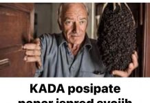 Pospite papar ispred svojih vrata, EVO ZAŠTO biti ćete mi zauvijek zahvalni! Pospite papar ispred svojih vrata, EVO ZAŠTO biti ćete mi zauvijek zahvalni! - featured image