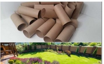 Ne bacajte rolnu toalet papira: Jedna žena je napravila čudo – i svi će ovog proleća posmatrati njeno dvorište Ne bacajte rolnu toalet papira: Jedna žena je napravila čudo – i svi će ovog proleća posmatrati njeno dvorište - featured image