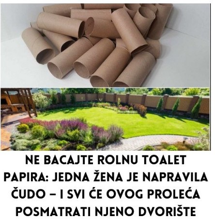 Ne bacajte rolnu toalet papira: Jedna žena je napravila čudo – i svi će ovog proleća posmatrati njeno dvorište - featured image Ne bacajte rolnu toalet papira: Jedna žena je napravila čudo – i svi će ovog proleća posmatrati njeno dvorište - featured image