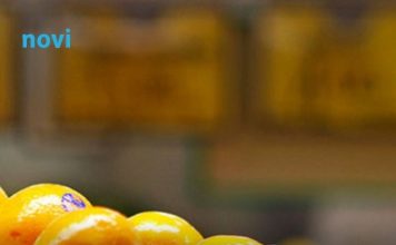 Pesticidi u mandarinama: Analiza otkrila šta zapravo jedemo Pesticidi u mandarinama: Analiza otkrila šta zapravo jedemo - featured image