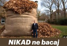 NIKAD ne bacaj jesensko lišće! EVO ZAŠTO NIKAD ne bacaj jesensko lišće! EVO ZAŠTO - featured image