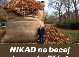 NIKAD ne bacaj jesensko lišće! EVO ZAŠTO NIKAD ne bacaj jesensko lišće! EVO ZAŠTO - featured image