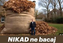 NIKAD ne bacaj jesensko lišće! Vrijedi više od zlata… NIKAD ne bacaj jesensko lišće! Vrijedi više od zlata… - featured image