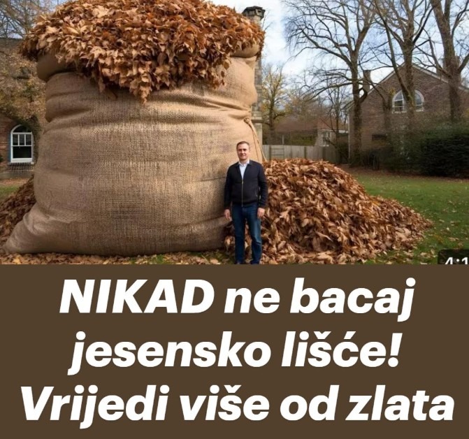 NIKAD ne bacaj jesensko lišće! Vrijedi više od zlata… - featured image