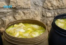 Ovo je prava količina soli za kiseli kupus: Napravite savršen rasol i hrskavi kupus bez greške! Ovo je prava količina soli za kiseli kupus: Napravite savršen rasol i hrskavi kupus bez greške! - featured image