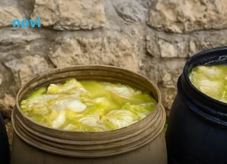 Ovo je prava količina soli za kiseli kupus: Napravite savršen rasol i hrskavi kupus bez greške! Ovo je prava količina soli za kiseli kupus: Napravite savršen rasol i hrskavi kupus bez greške! - featured image