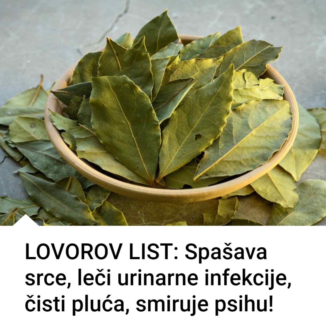 Lovorov List lekovitost i recepti - featured image