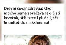 Drevni čuvar zdravlja: Ovo moćno seme sprečava rak, čisti krvotok, štiti srce i pluća i jača imunitet do maksimuma! Drevni čuvar zdravlja: Ovo moćno seme sprečava rak, čisti krvotok, štiti srce i pluća i jača imunitet do maksimuma! - featured image