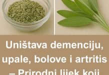 PRIR0DNI LIJEK K0JI ĆE ZAMJENITI AP0TEKU – Uništava demenciju, upale, B0L0VE i artritis PRIR0DNI LIJEK K0JI ĆE ZAMJENITI AP0TEKU – Uništava demenciju, upale, B0L0VE i artritis - featured image