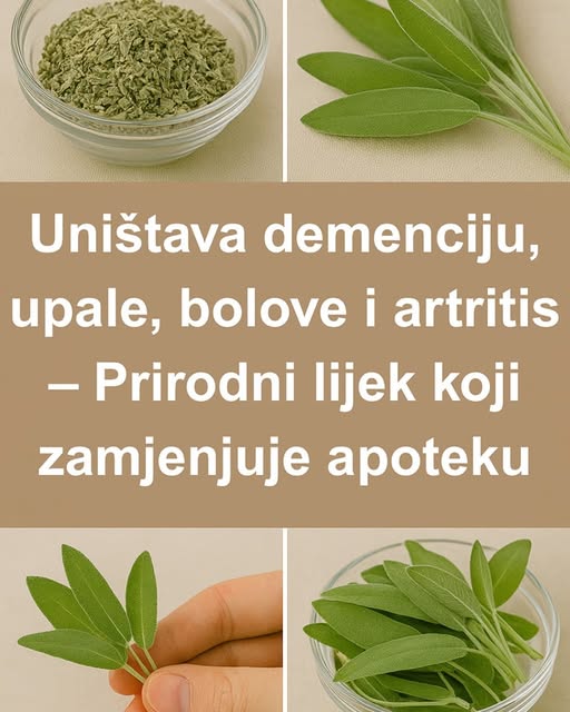 PRIR0DNI LIJEK K0JI ĆE ZAMJENITI AP0TEKU – Uništava demenciju, upale, B0L0VE i artritis - featured image PRIR0DNI LIJEK K0JI ĆE ZAMJENITI AP0TEKU – Uništava demenciju, upale, B0L0VE i artritis - featured image
