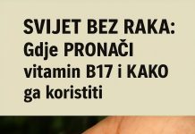 Gdje PRONAĆI vitamin B17 i KAKO ga koristiti Gdje PRONAĆI vitamin B17 i KAKO ga koristiti - featured image