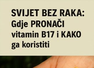 Gdje PRONAĆI vitamin B17 i KAKO ga koristiti Gdje PRONAĆI vitamin B17 i KAKO ga koristiti - featured image