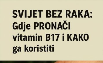 Gdje PRONAĆI vitamin B17 i KAKO ga koristiti Gdje PRONAĆI vitamin B17 i KAKO ga koristiti - featured image