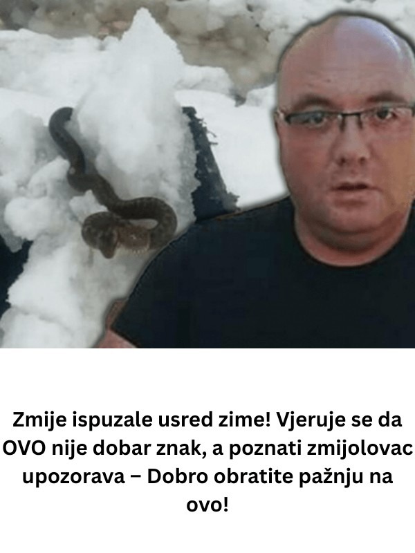Zmije ispuzale usred zime! Vjeruje se da ovo nije dobar znak, a poznati zmijolovac upozorava – dobro obratite pažnju na ovo! - featured image