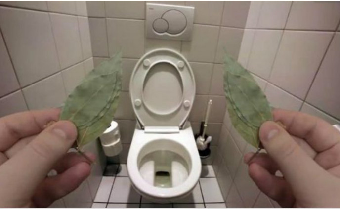 Evo zašto sam stavio lovorov list u kupatilo: Znale su već naše bake! - featured image