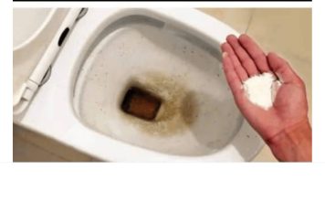 0CAT JE PR0ŠL0ST: 0vaj puder iz kuhinje čisti toalet za MlNUT – bez kamenca, žutih mrlja i mirisa! 0CAT JE PR0ŠL0ST: 0vaj puder iz kuhinje čisti toalet za MlNUT – bez kamenca, žutih mrlja i mirisa! - featured image