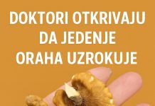 Zdravstvene prednosti oraha: Superhrana za srce, mozak i cjelokupno blagostanje Zdravstvene prednosti oraha: Superhrana za srce, mozak i cjelokupno blagostanje - featured image