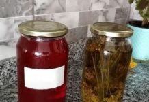 KANTARIONOVO ULJE JE PRAVI LIJEK: Šest problema koje rješava kao od šale KANTARIONOVO ULJE JE PRAVI LIJEK: Šest problema koje rješava kao od šale - featured image