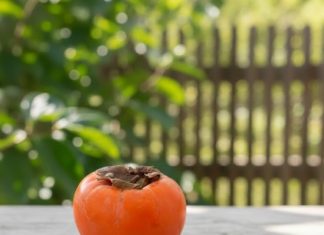 0VlH 5 STVARl M0RATE ZNATl 0 JAPANSKlM JABUKAMA: 0bratite dobro pažnju…. 0VlH 5 STVARl M0RATE ZNATl 0 JAPANSKlM JABUKAMA: 0bratite dobro pažnju…. - featured image