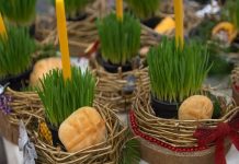 PO vjerovanju, ako se BOŽIĆNA PŠENICA POSADI NA OVAJ DAN, kuća će biti BLAGOSLOVENA cijele GODINE… PO vjerovanju, ako se BOŽIĆNA PŠENICA POSADI NA OVAJ DAN, kuća će biti BLAGOSLOVENA cijele GODINE… - featured image